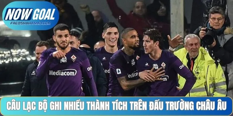 CLB Fiorentina đạt nhiều thành tích tại đấu trường Châu Âu