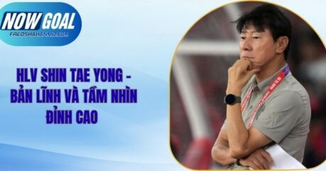 HLV Shin Tae Yong