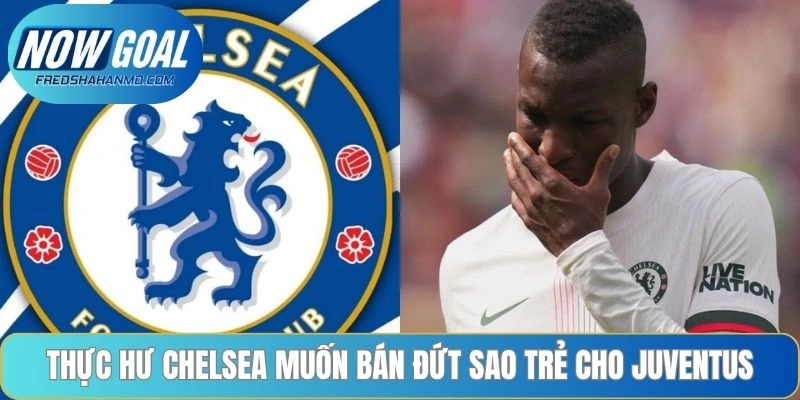 Thực hư Chelsea muốn bán đứt sao trẻ cho Juventus