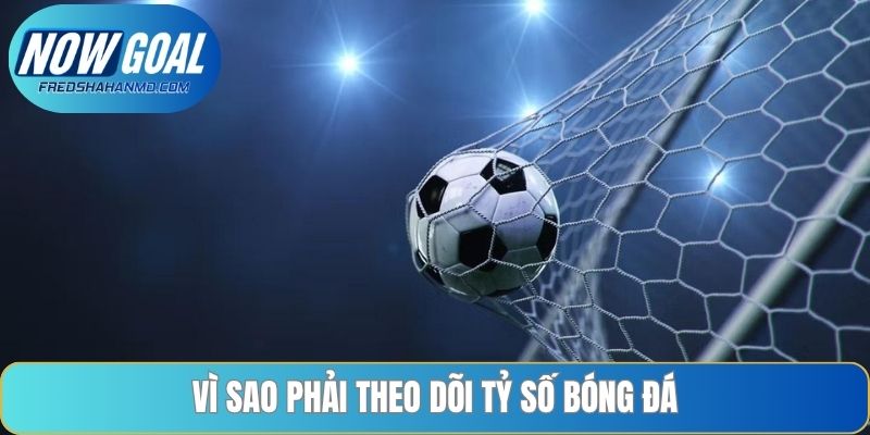 Vì sao phải theo dõi tỷ số bóng đá